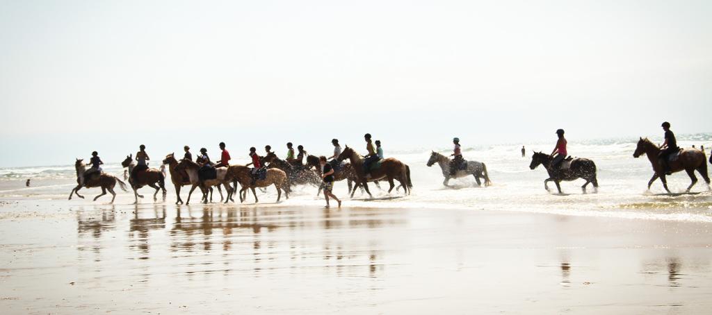 Balade à cheval sur la plage