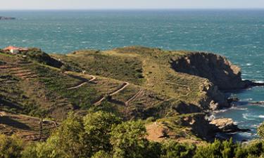 Route après Collioure